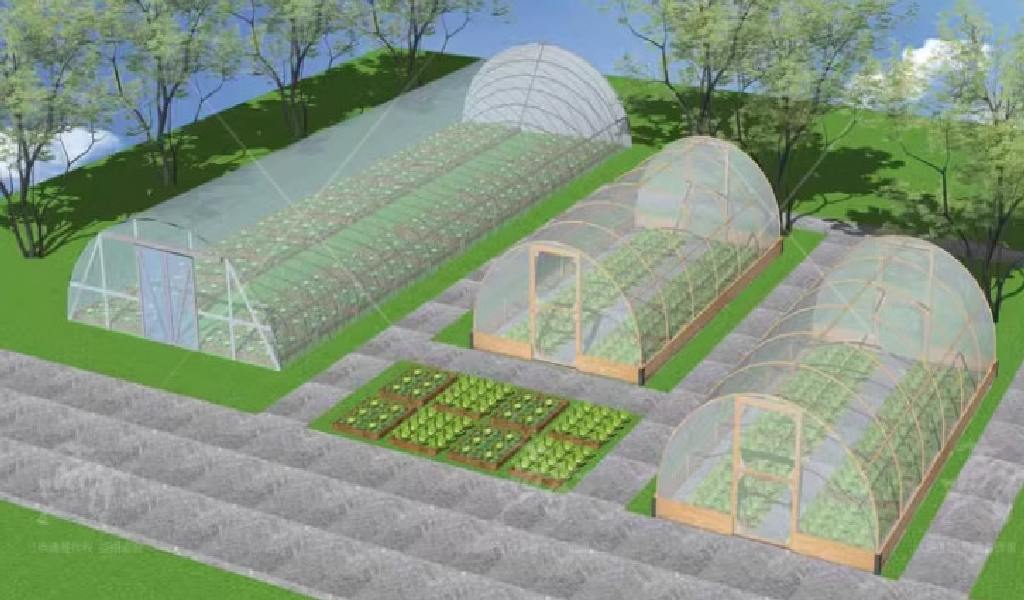 50 MODEL NHÀ KÍNH TRỒNG CÂY SINH THÁI